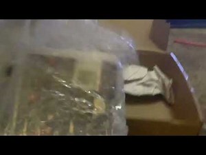 Pinocchio (Gold Classic Collection) 2000 VHS Unboxing