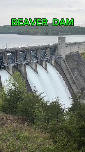 61K views · 728 reactions | Gates are open at Beaver Lake dam. #northwestarkansas #nwatravelguide #beaverlake | Northwest Arkansas Travel Guide | Facebook