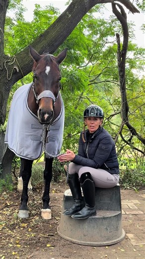 What Do Horses Notice About Humans? Science & Surprising Signals