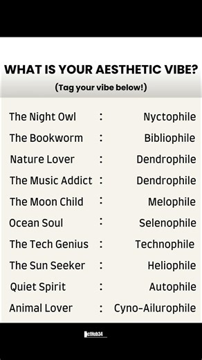 What is your aesthetic vibe #zaynmalik #mogger