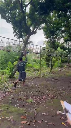 Kaleng Tetap Berjalan Walaupun Hujan