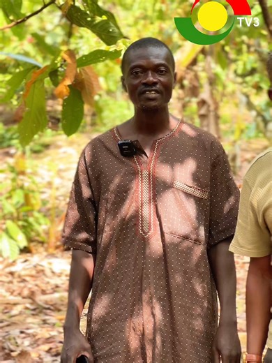 Engaging Cocoa Farmers in Agricultural Initiatives