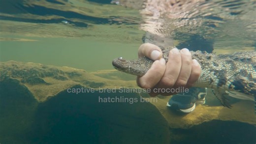 39 reactions · 13 shares | This World Nature Conservation Day, we...