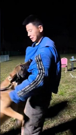 Are We Training Dogs... or Ourselves?