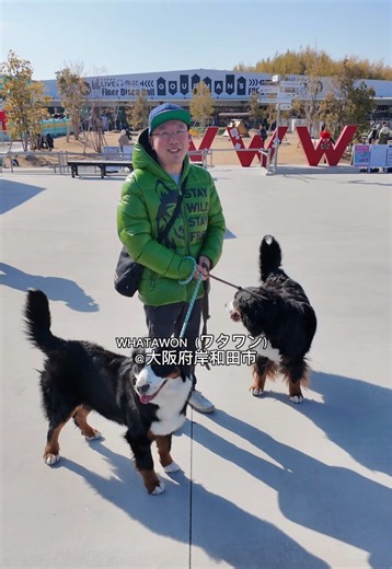 大型犬と楽しく過ごせる施設「WHATAWON」訪問記
