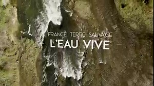 [ FRANCE TERRE SAUVAGE - L'EAU VIVE ] Produit par Alex Soullier. Réalisé par Nicos Argillet. Écrit par Marguerite d'Ollone. FRANCE TERRE SAUVAGE ; Après avoir exploré et raconté les plus belles forêts françaises, un nouveau film pour un sublime voyage au fil de l’eau. Tour à tour tumultueuse, insaisissable, apaisante ou invisible, l’eau est une voyageuse qui ne s’arrête jamais… Depuis toujours, elle fraye son chemin à travers la terre et la roche. Partout où elle s’écoule, elle sème la vie, nour