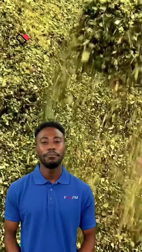 FCN.FM Chaff Cutter Machine on TikTok