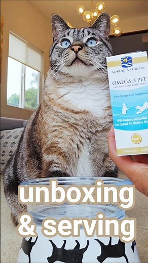 Unboxing Nordic Naturals Omega-3 Pet for cats & small breed dogs