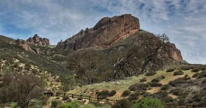 Here are the most popular national parks for birdwatching this spring