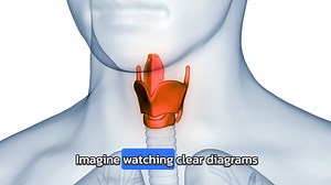 2K views · 24 reactions | How the Human Voice Works: Sound Production...