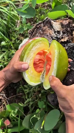 #ইনশাআল্লাহ_যাবে_foryou_তে💔🥀 #fypシ゚viral🖤tiktok #yppppppppppppppppppppppp #tiktokofficialbangladesh #trending @TikTok @TikTok Bangladesh