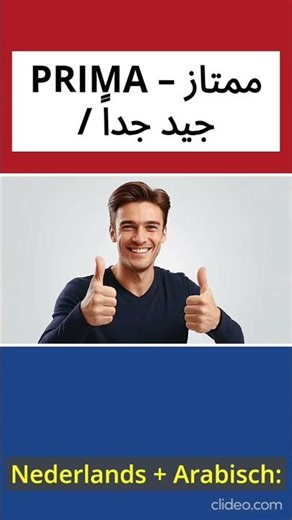 Basic Dutch Words 🇳🇱🇳🇱 Dutch words #nederlands #dutch #languageearning #language #nl #d #basic