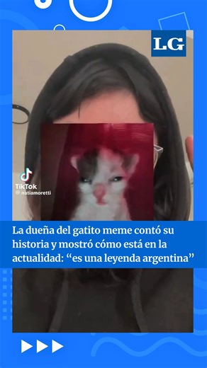 ¡EL GATITO MEME ES ARGENTINO Y YA CRECIÓ!🐱🇦🇷 Este video se hizo viral en las redes y muestra cómo está hoy el gatito meme que mil veces vimos en Instragram y otras plataformas. Su dueña fue la encargada de publicar el video tanto del comienzo, como el de la actualidad. Además, contó la historia de cuando encontró al gatito antes de sacarle la foto más conocida, ni bien abrió sus ojitos... ¿CONOCÍAS ESTA HISTORIA? #viral #tendencia #gatito #gatitomeme #meme | La Gaceta