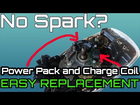 1989 Johnson/Evinrude 15HP Ignition Module (Power Pack) and Charge Coil Replacement NO SPARK REPAIR