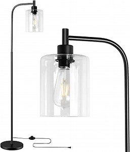 Floor Lamp, Industrial Standing Lamp with Clear Glass Shade, Black Tall Lamp for Living Room, Bedroom, Office E26/E27 Base ETL Listed