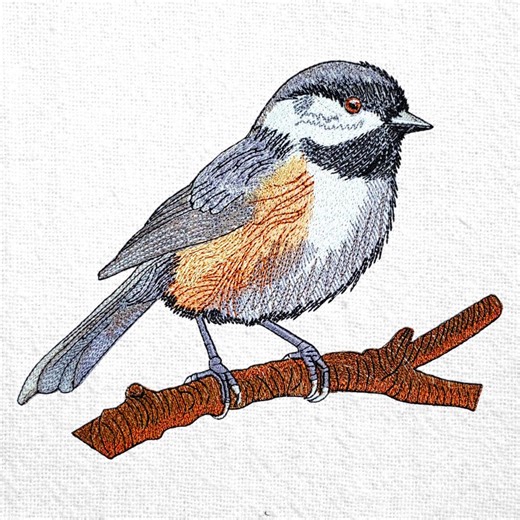 Realistic Chickadee Embroidery Design Woodland Bird Machine Embroidery File Songbird Animal Embroidery Pattern Instant Download Pes - Etsy