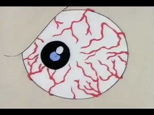 Rocko's Modern Life - I Will Do Something Not Nice