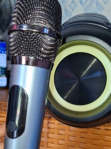 Portable Bluetooth Karaoke Speaker with Microphone