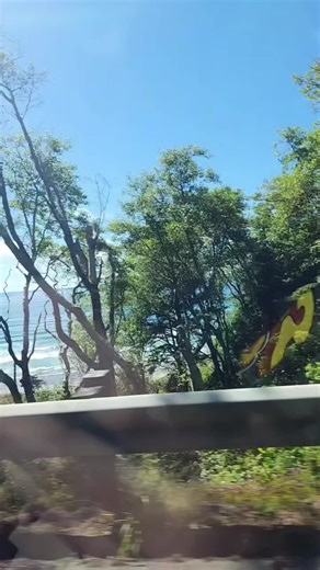 little froggie on TikTok