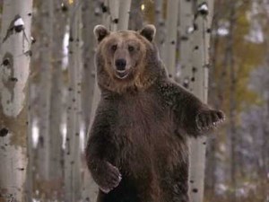 Peter Gabriel: Sledgehammer (Extended Version) 1986 HQ