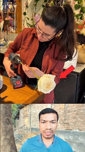 Satisfying Rose Petal Opening Trick 🌹