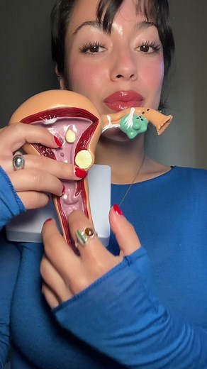 let’s talk about the rugae 💢 #answeringquestions #anatomyclass #anatomyquestions