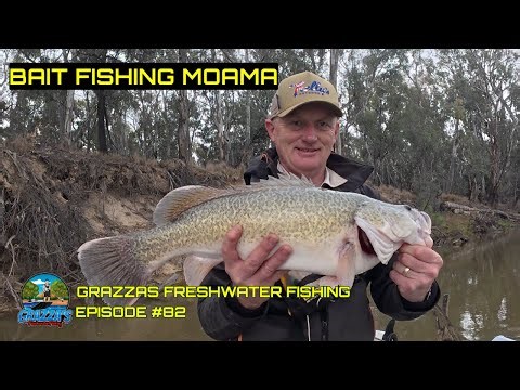 Murray Cod Bait Fishing the Mighty Murray River | Moama