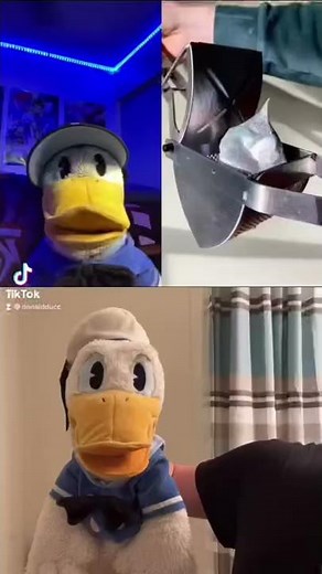 Donald Ducc is having fun with Donald #shorts