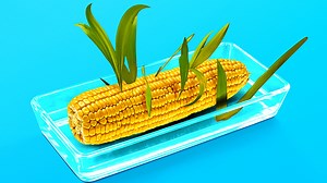 3.1M views · 18K reactions | 32 TRUCOS DE JARDINERÍA || CÓMO CULTIVAR PLANTAS EN CASA: | Ideas en 5 minutos | Facebook