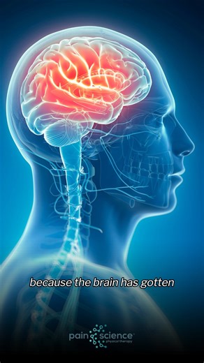 💡 Did you know there are 3 types of musculoskeletal pain—and each needs a different approach? Understanding them is the first step to real relief. Learn more and be equipped with hardcore tools to manage pain through our Pain Reset Course. 📩 Message us for inquiries! #MusculoskeletalPain #PainEducation #PainReset #PhysicalTherapy#UnderstandingPain #physiotherapy #painscienceeducation #physicaltherapist #dpt #painmanagement #PhysicalTherapyMonth #painscience #chronicpain #painrelief | Pain Scie
