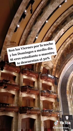 Orquesta Sinfónica Nacional en Bellas Artes ✨