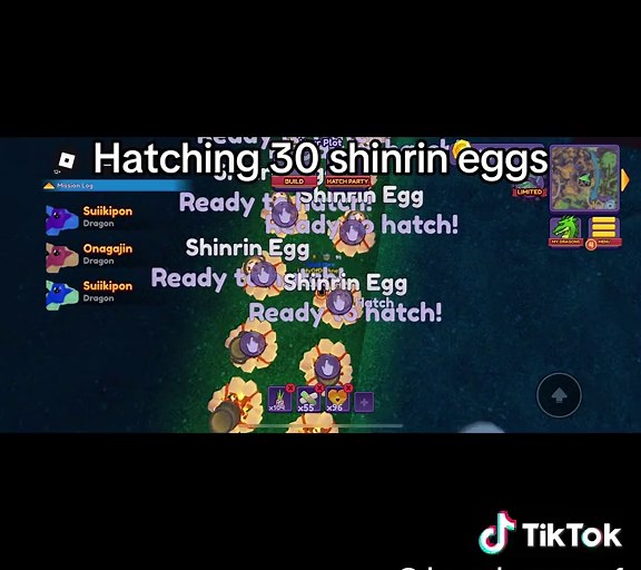 Hatching 30 Shinrin Eggs in Dragon Adventures