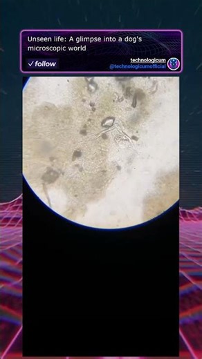 Unseen life: A glimpse into a dog's microscopic world