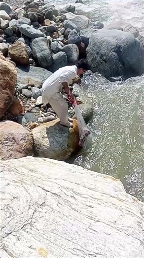 Slow Motion Net Casting||#fishing #naturelovers #wilderness