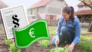 Neue Formulare für die Steuererklärung: Darauf müssen Verbraucher achten