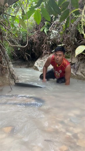 Wow, found gold-containing material in a hole in a wooden block left by floodwater.