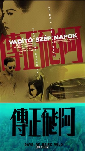 王家卫电影 哥哥经典中经典《阿飞正传》片头曲