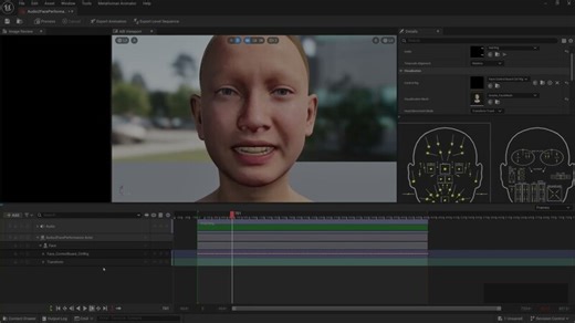 MetablrigerV2.0 Tutorial：Rig Any Topological Model into Metahuman