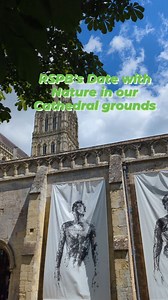 Salisbury Cathedral on Reels