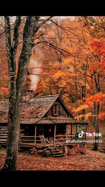 Embrace the Beauty of Fall: Autumn Vibes and Aesthetics