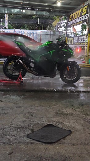 Princess treatment | Zeddy Jodarry