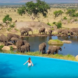 31M views · 75K reactions | The Four Seasons Safari Lodge in Africa is perfect for nature lovers! Tag who you'd take here 女 | UNILAD Adventure | Facebook