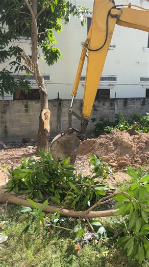 Clearing A Wooden Lot For A House - Prepare The Area For Building A House With An Excavator | Daily Works CVR