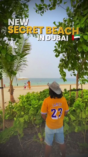 Dubai Island Beach: Dog-Friendly Waterfront Getaway