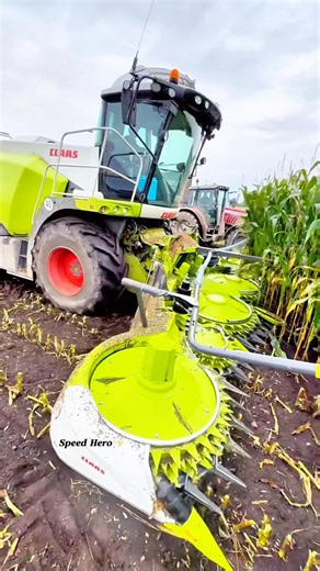 Large-scale mass tree cutting machine