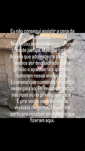 Denise Xavier amante de dublagens🤪 on Instagram: "Sou cristã mas desejo a vocês a pior macumba reza contrária algo do tipo. Não é apenas sobre ser um cachorro é sobre eles Serem seres humanos. Ou demônios em corpo de gente. Esses seres repugnantes nojentos desprezível não pouparia qualquer espécie de ser humano de uma atrocidade , basta eles quererem simples assim. Não estamos em massa destilando ódio. Estamos em massa querendo justiça pelo Orelha. E assim seria se fosse uma mulher uma criança 