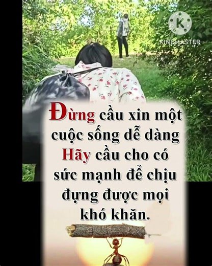 csmm