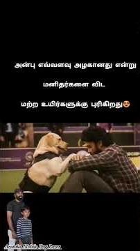 அன்பு எவ்வளவு அழகானது🦴❤️ #kanyakumaridoglover #care #rescue #adoption #pets