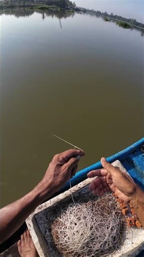 PHÊ! Cảm giác quen thuộc khi kéo câu #fishing #mientay #vamcotayvlog