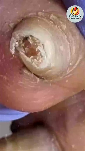 Ep.5209 Routine clarity and serving cues with notes steady budgets 🧚🦊 #WellnessPlan #SmartGrocery #SteadyClarity | Evgeniy